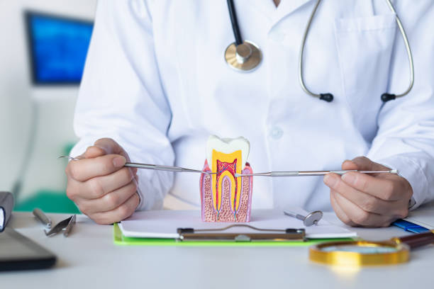 Best Emergency Orthodontic Repairs in Schofield, WI
